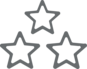 Icon Expertise Drei graue Sterne