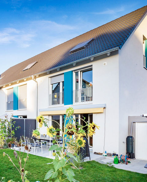 Colorfully painted row houses with sunflowers in the garden