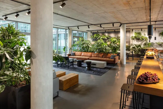Cozy seating area in the cafeteria of the weisenburger headquarters with leather couch, lots of plants and warm white light
