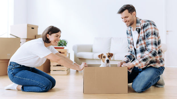 A young woman and a young man look into a moving box with a Jack Russell Terrier
