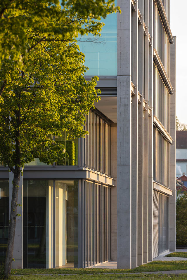 Trees in front of concrete pillars on the east side of the building.