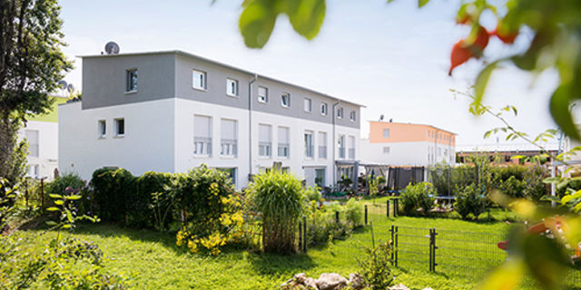 Four row houses painted gray and white with green gardens