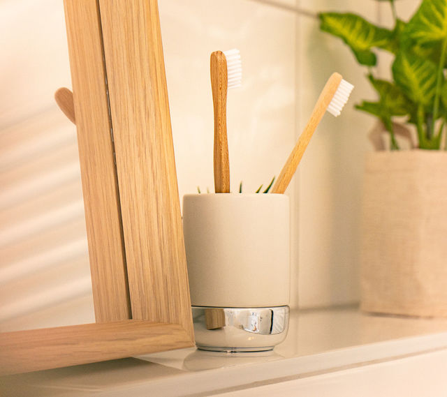 Toothbrush tumbler with two toothbrushes between a mirror and a plant